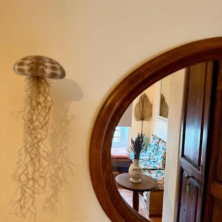 Casa Paloma Санари-сюр-Мер